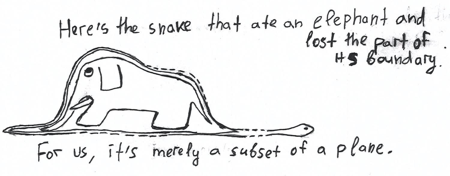 The snake